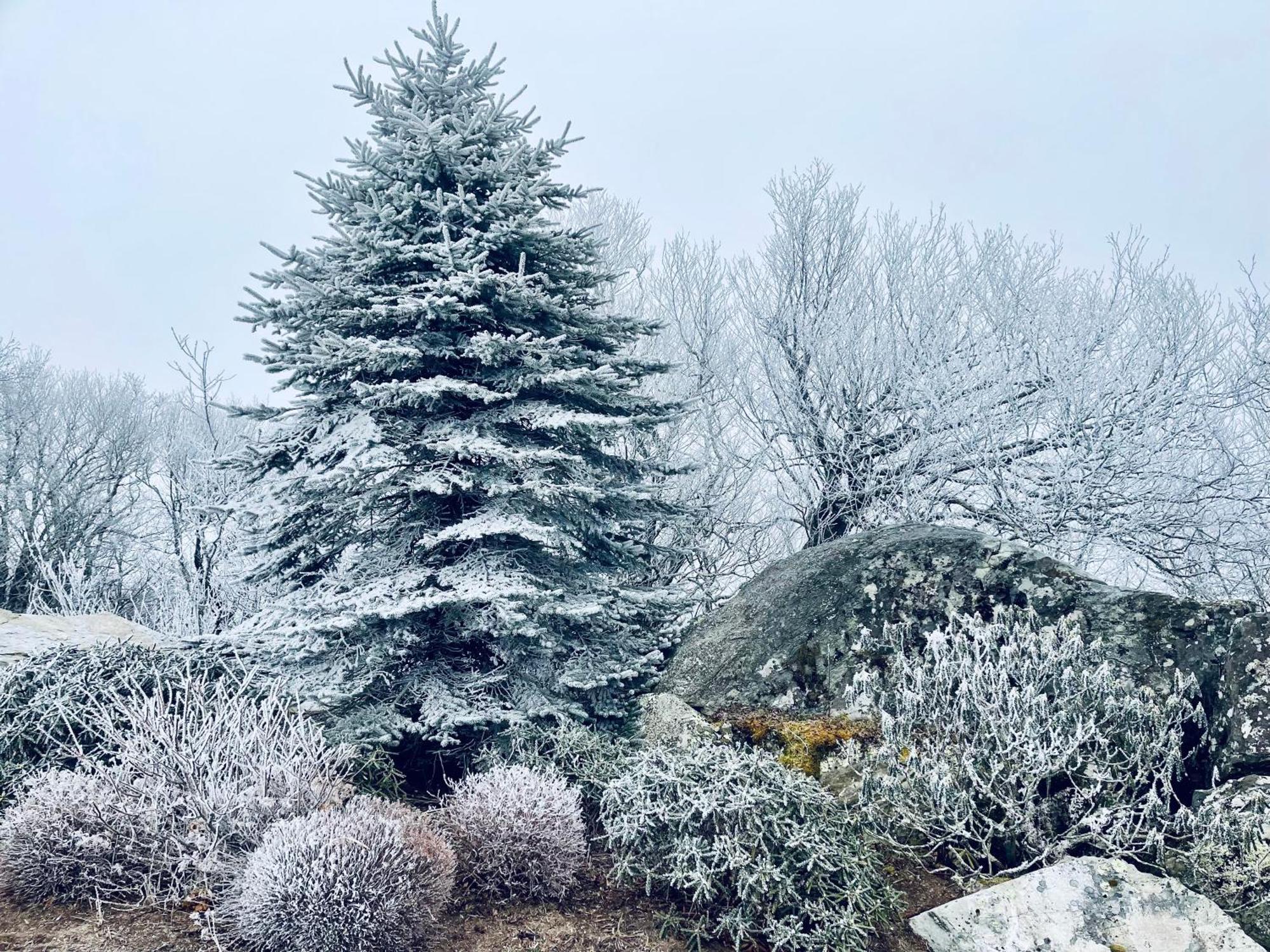 Bucket List Views Sugar Mountain Private Condo - 2Bed, 2Bath, Sleeps 6, Panoramic Views Of Mountains From Large Deck, Short Drive To Shopping, Restaurants, Cafes & Banner Elk Town Exterior photo